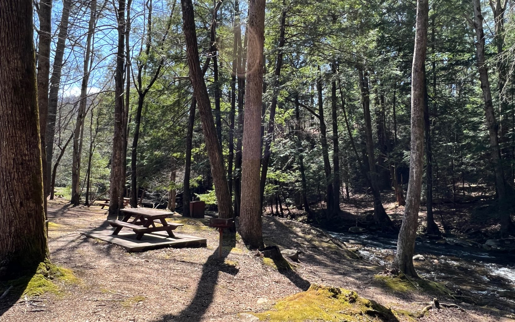 H-85 Mountain Oak Road Ellijay, GA 30536 - Photo 15 of 28 Additional View