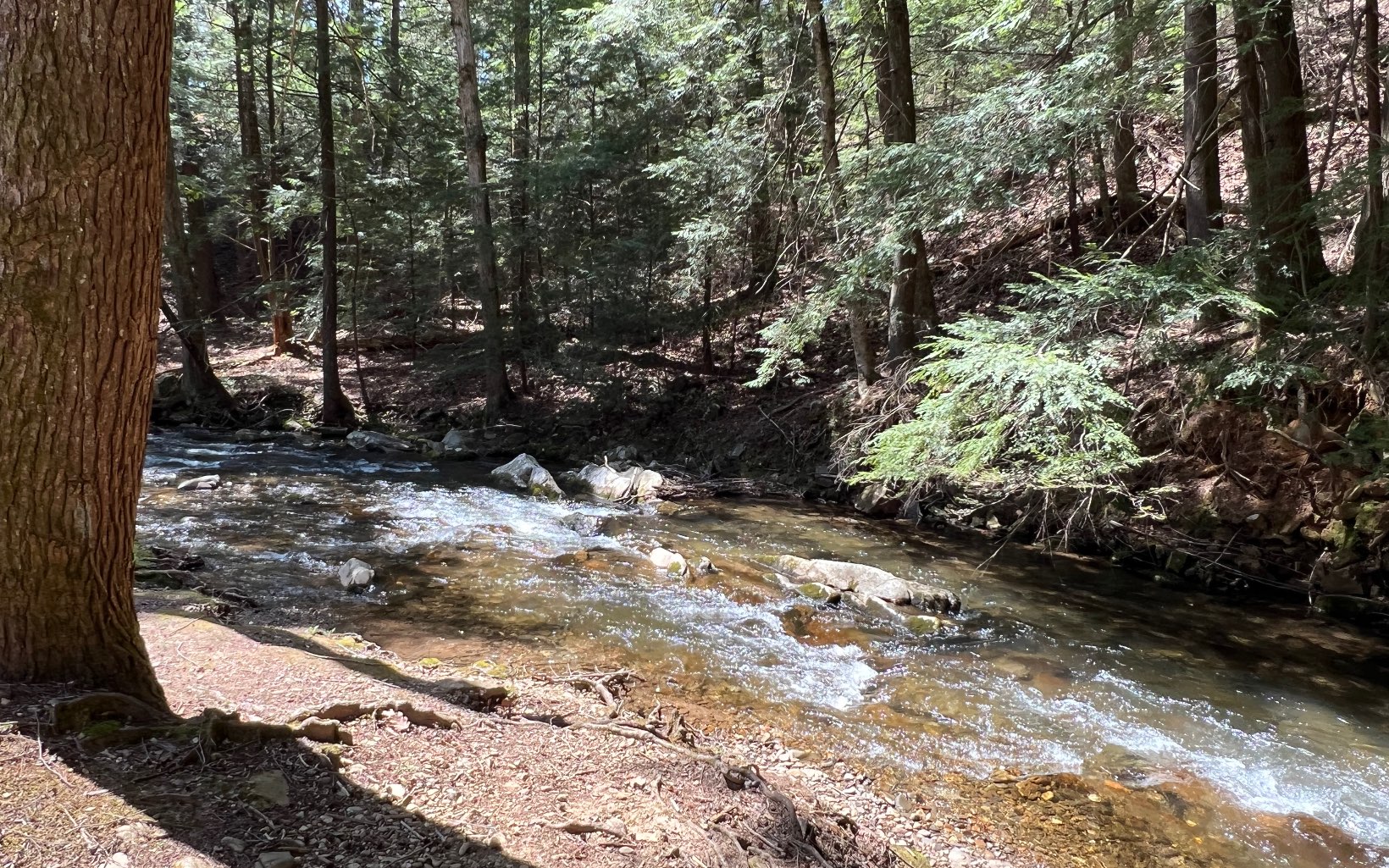 H-85 Mountain Oak Road Ellijay, GA 30536 - Photo 16 of 28 Additional View