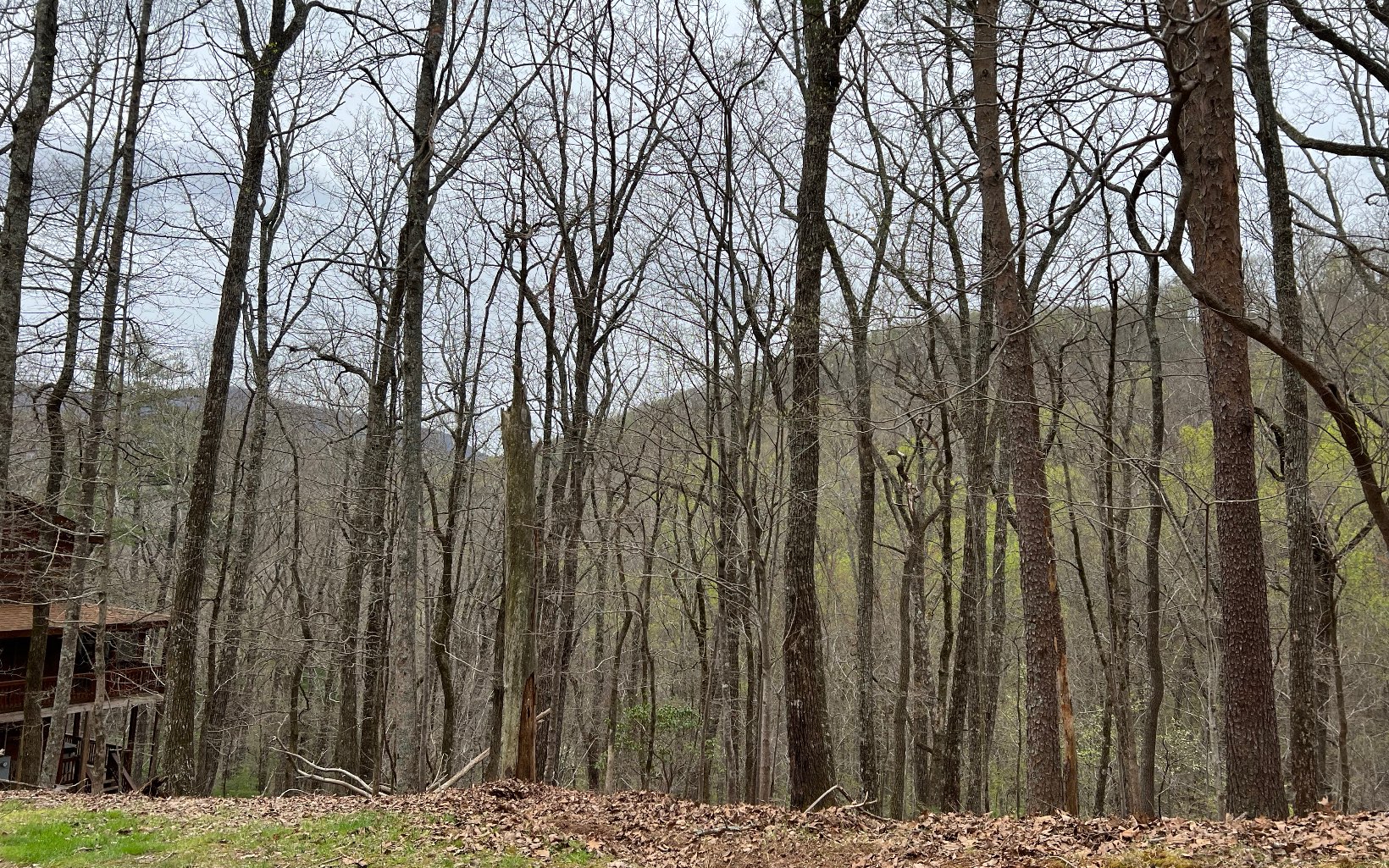 H-85 Mountain Oak Road Ellijay, GA 30536 - Photo 2 of 28 Additional View