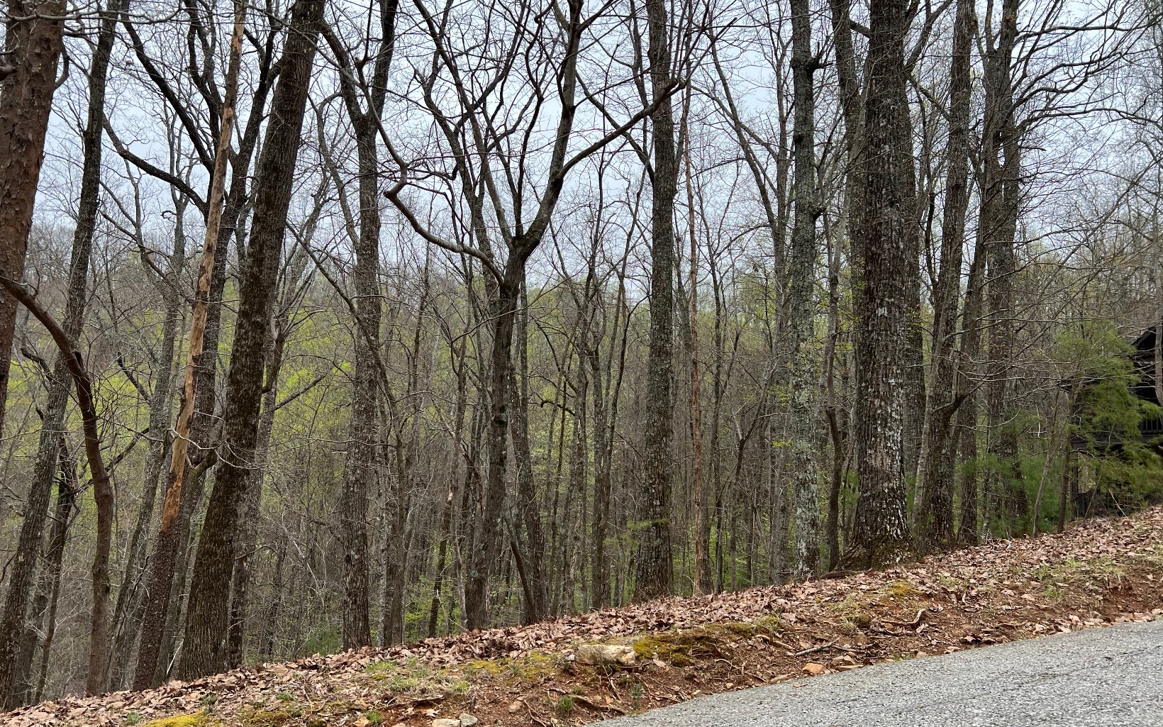 H-85 Mountain Oak Road Ellijay, GA 30536 - Photo 5 of 28 Additional View