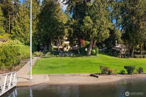 a view of a park with plants and trees