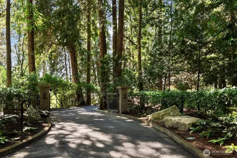 a view of a street with some trees