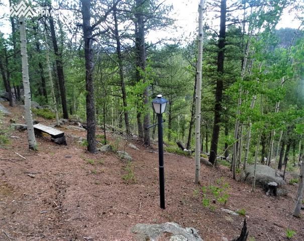 137 Blue Spruce Road Divide, CO 80814 - Photo 30 of 31 Gallery Image 30