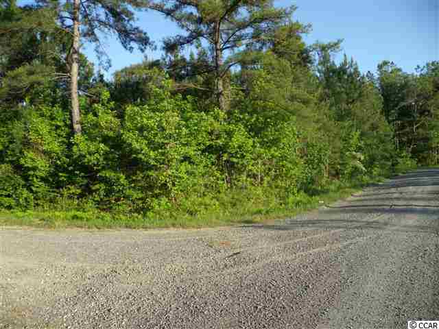 Tbd Roughbark Drive Andrews, SC 29510 - Photo 1 of 6