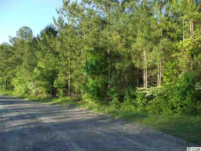 Tbd Roughbark Drive Andrews, SC 29510 - Photo 2 of 6
