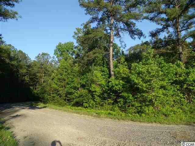 Tbd Roughbark Drive Andrews, SC 29510 - Photo 3 of 6