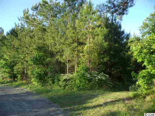 Tbd Roughbark Drive Andrews, SC 29510 - Photo 4 of 6