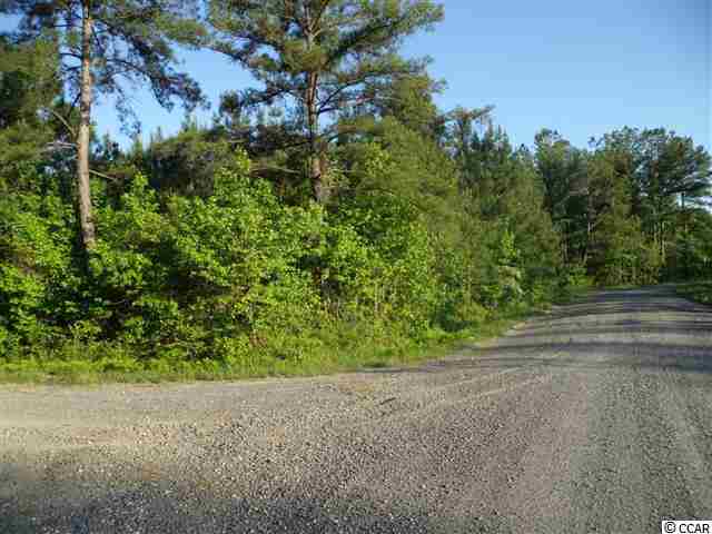 Tbd Roughbark Drive Andrews, SC 29510 - Photo 5 of 6
