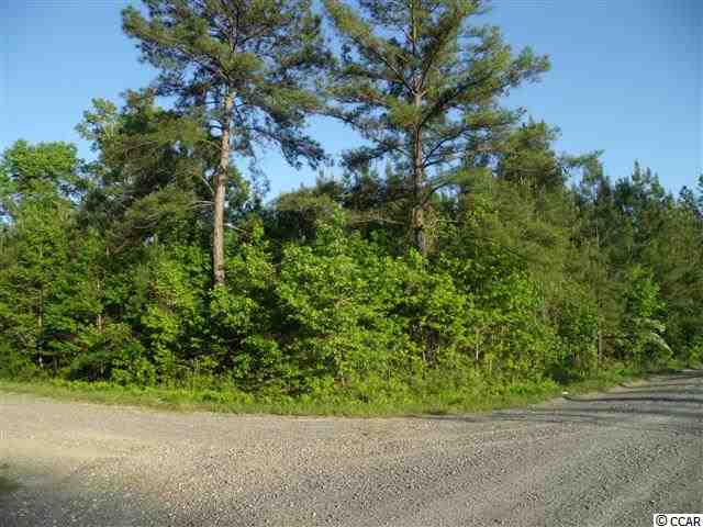 Tbd Roughbark Drive Andrews, SC 29510 - Photo 6 of 6