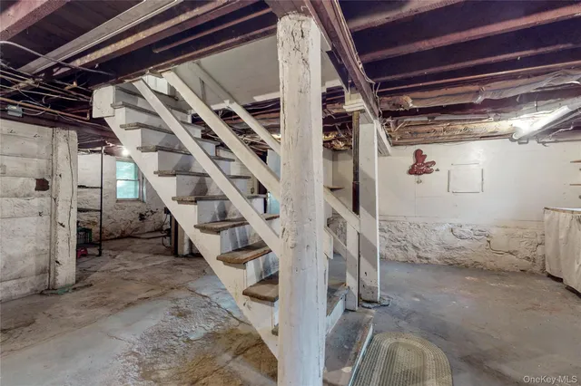 a view of a garden with plants