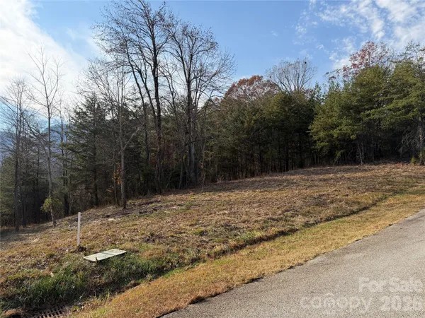 $65,000 | 99999 Chestertown Drive, Mill Spring, NC 28756
