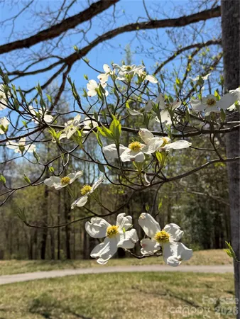 $65,000 | 99999 Chestertown Drive, Mill Spring, NC 28756