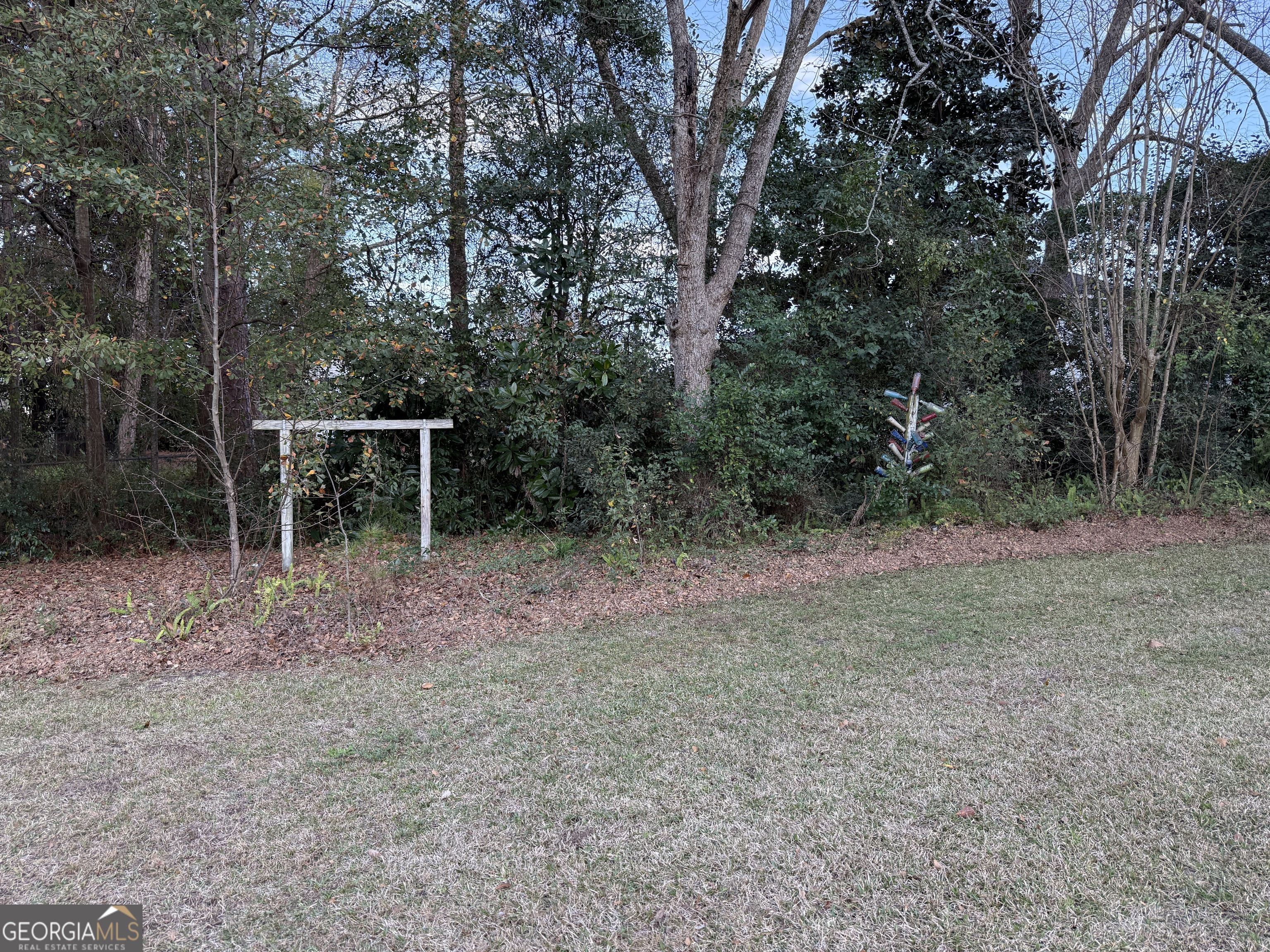 646 McLendon Street Ashburn, GA 31714 - Photo 55 of 63 a view of backyard with green space