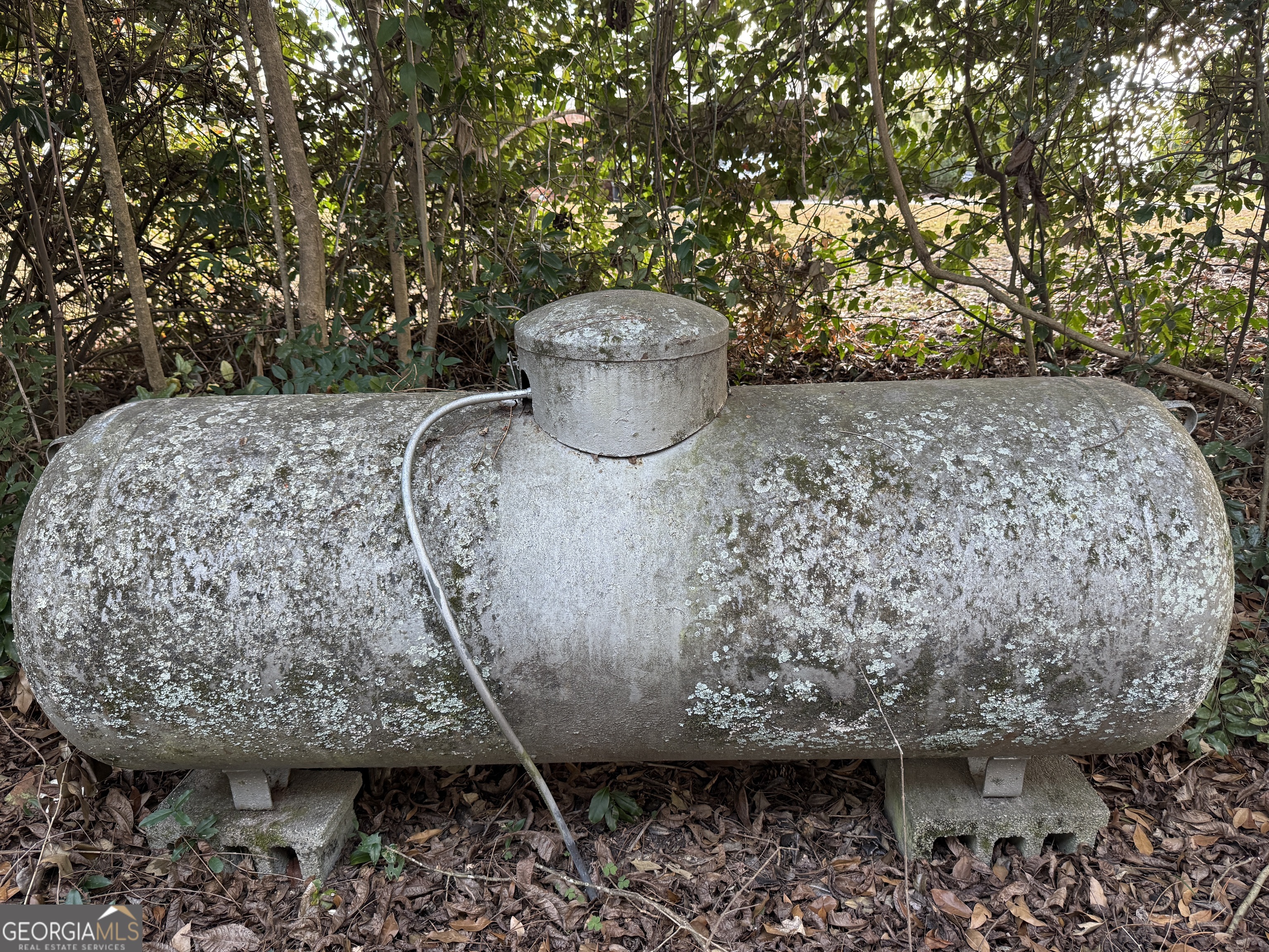 646 McLendon Street Ashburn, GA 31714 - Photo 60 of 63 a view of a fountain in the backyard