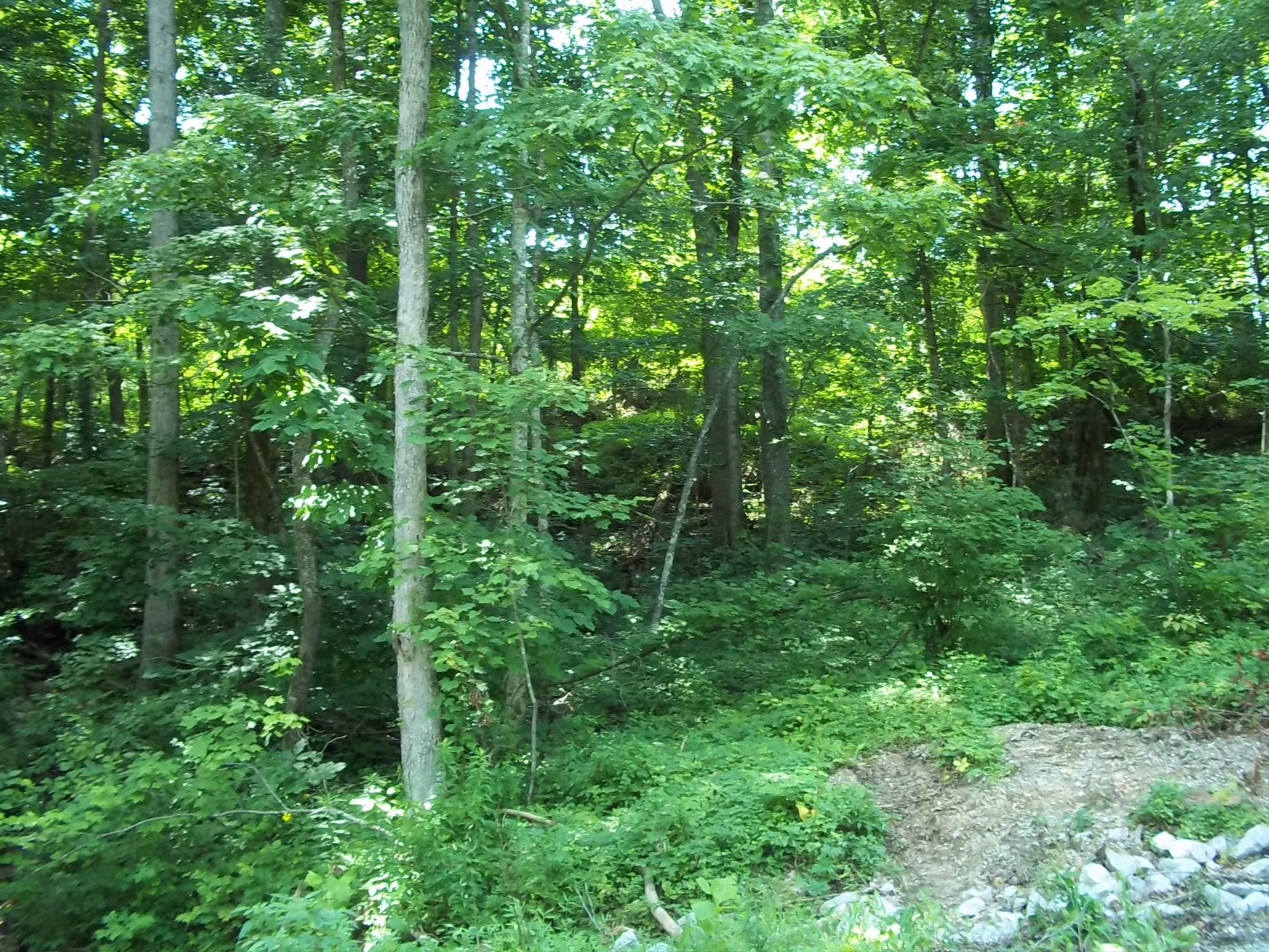 1105 Garland Road Burnside, KY 42519 - Photo 14 of 17 100_1040