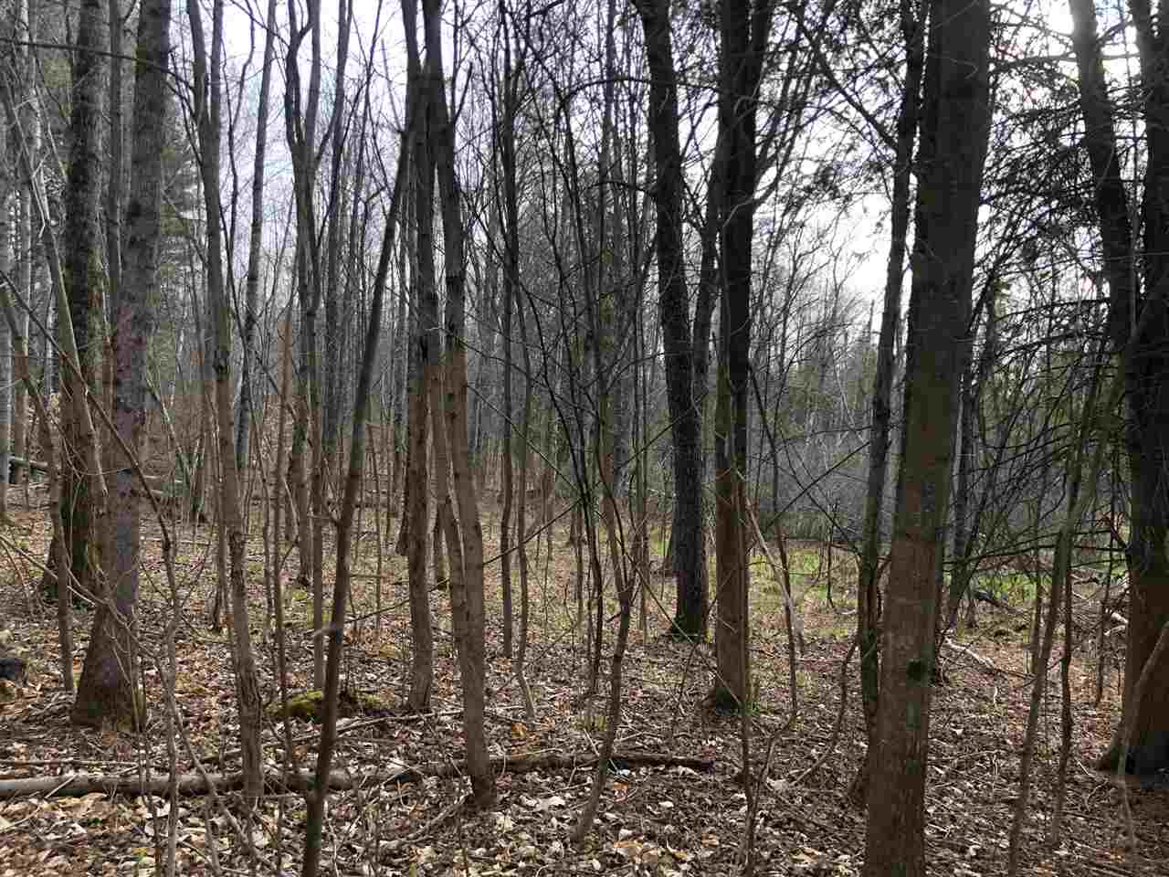 40-acres East Cranberry Lake Road Harrison, MI 48625 - Photo 18 of 21