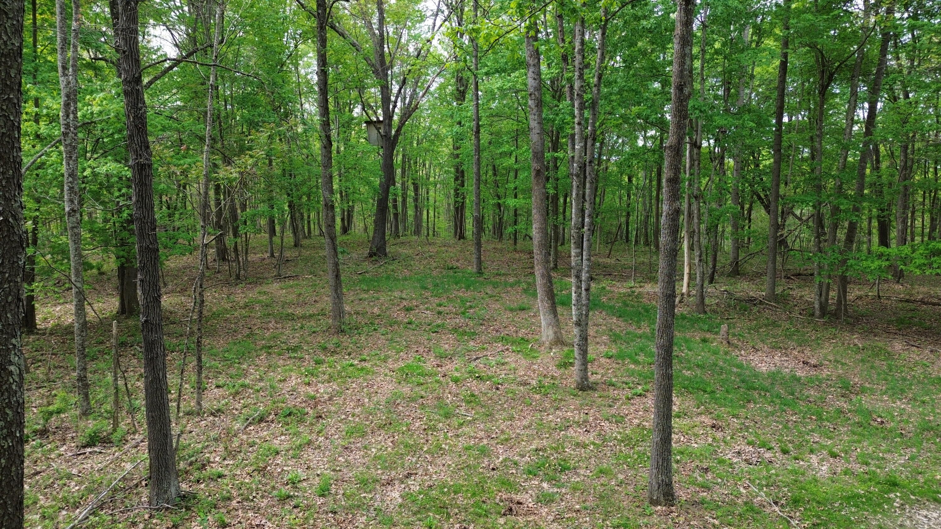1271 A Tunnel Ridge Road Grayson, KY 41143 - Photo 20 of 134 Feeder Area