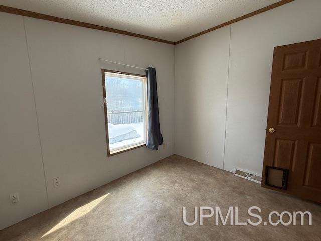 101 Hill Farm Road Crystal Falls, MI 49920 - Photo 12 of 24