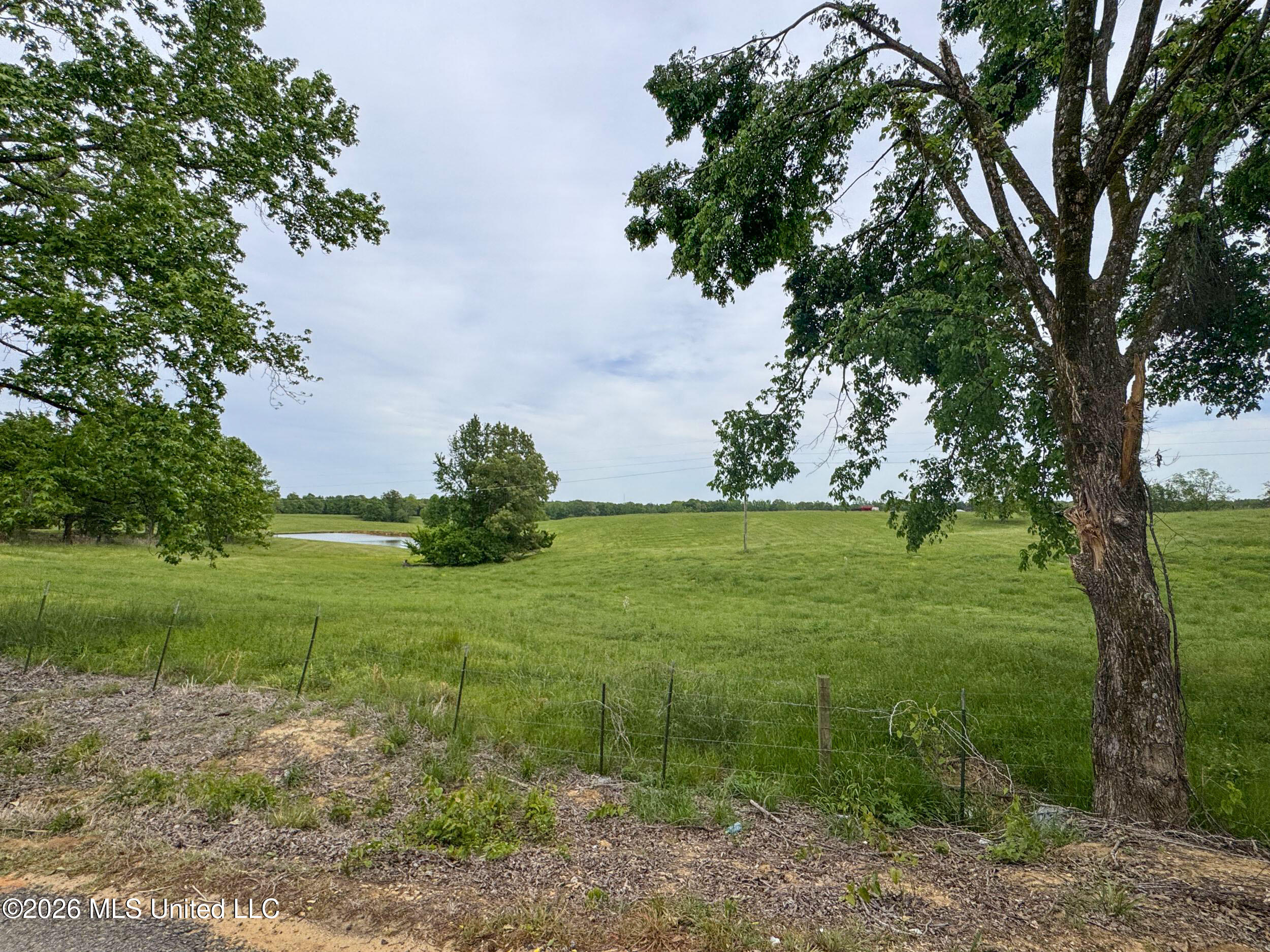116 Hawkins Road Courtland, MS 38620 - Photo 200 of 200 4tamtgm239