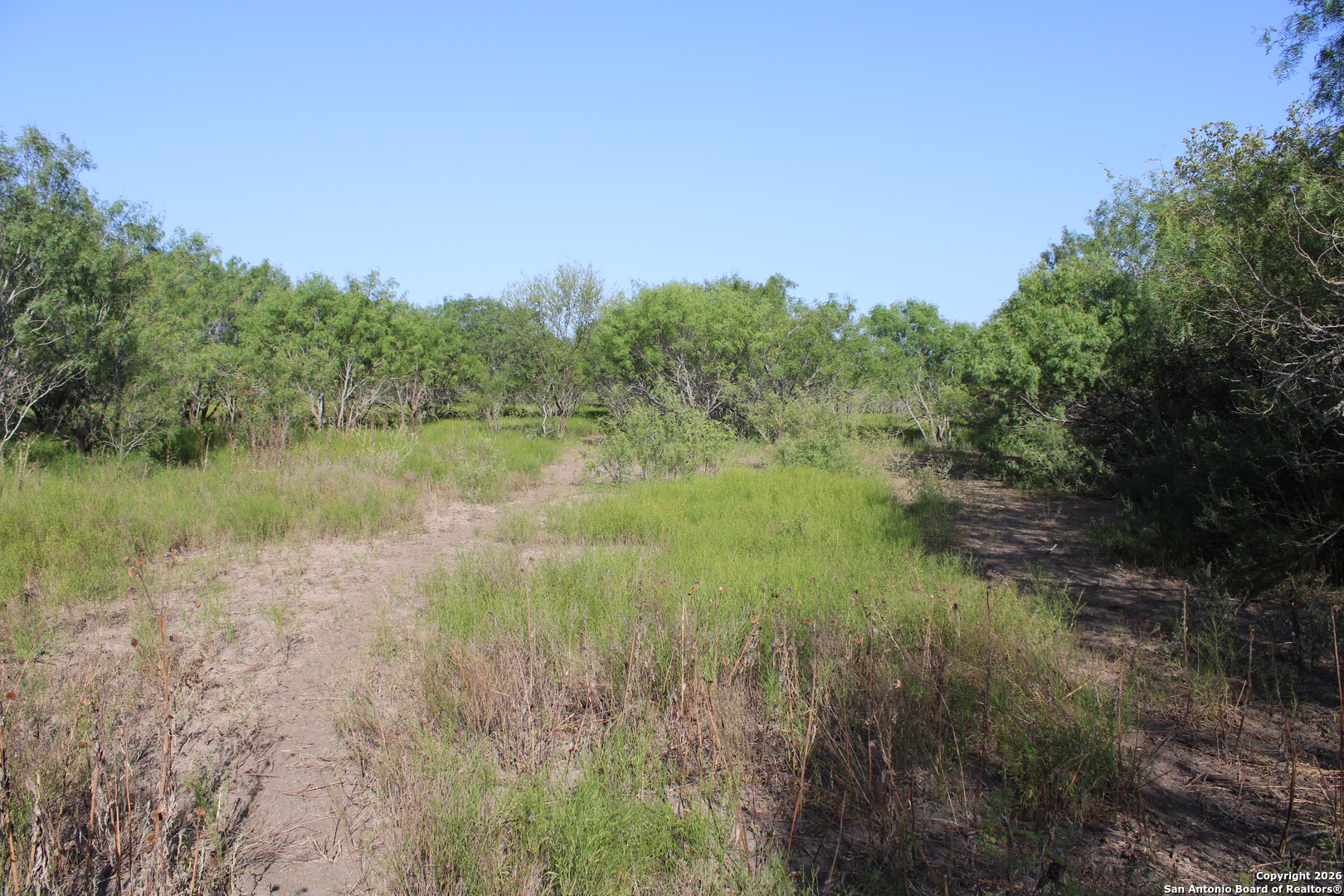 760 North Graytown Road St. Hedwig, TX 78152 - Photo 3 of 17