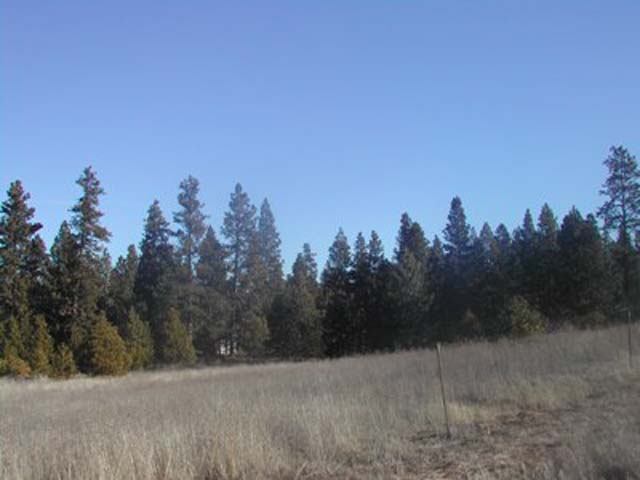 0 South Garry Road Liberty Lake, WA 99019 - Photo 1 of 1