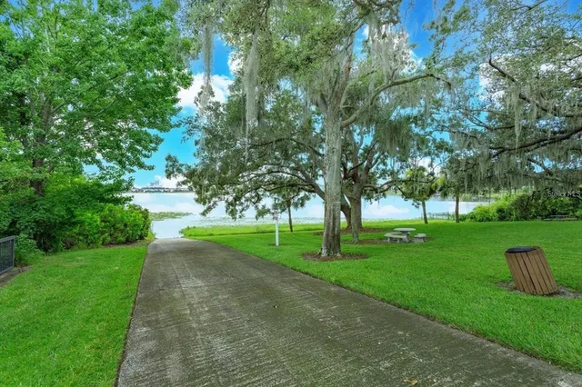a view of a park with large trees