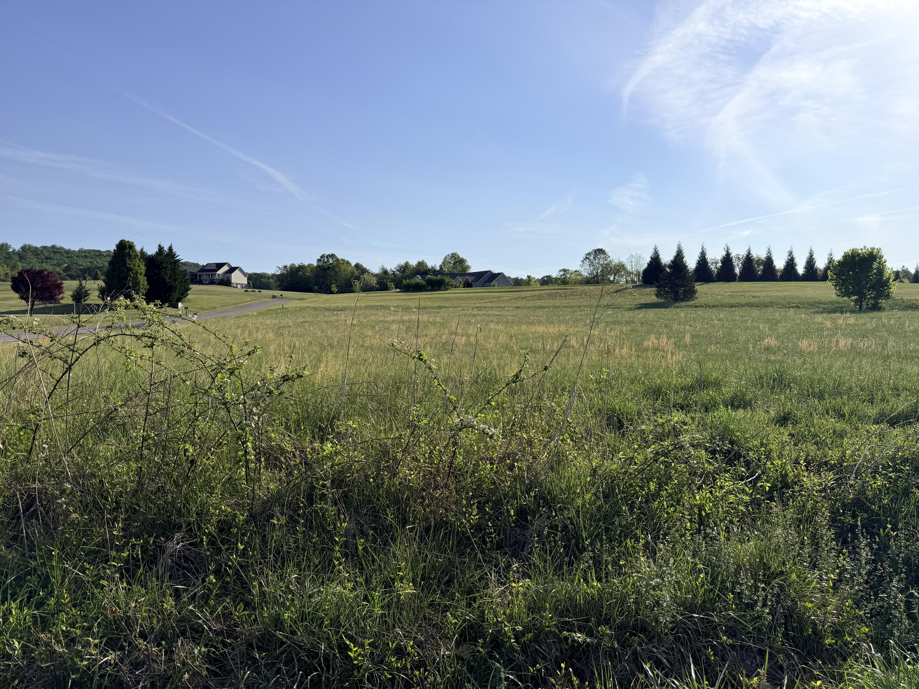 Lot 15 Green Level Road Boones Mill, VA 24065 - Photo 5 of 7 Cleared