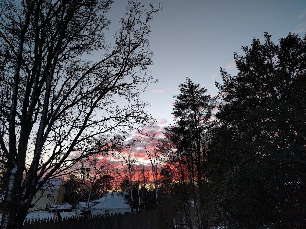 6 Stone Circle Absecon, NJ 08201 - Photo 3 of 39 a view of tree