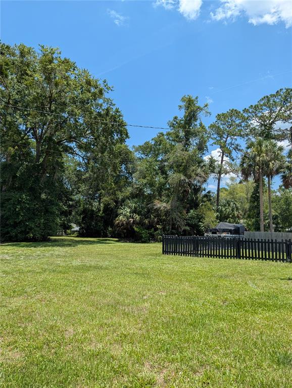 55914 Bay Road Astor, FL 32102 - Photo 5 of 23