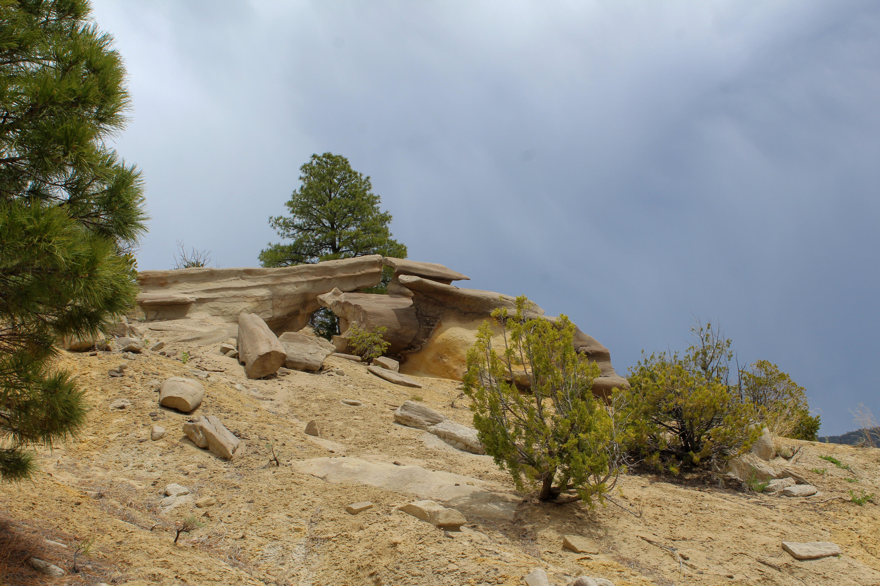 200 County Road Cuba, NM 87013 - Photo 65 of 70 Gallery Image 65