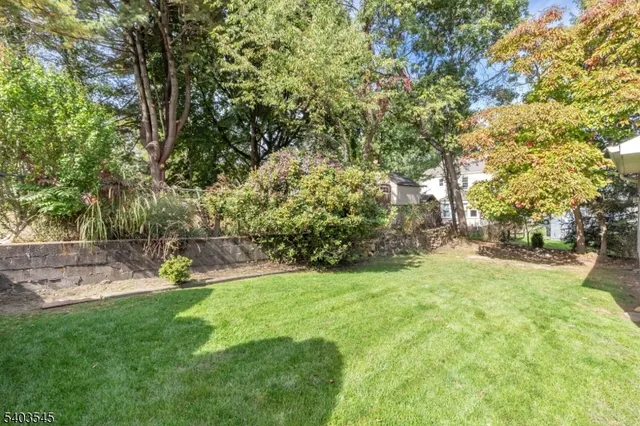 a view of a yard with plants and trees