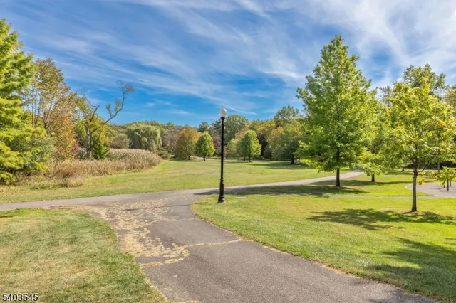 a view of a yard with a house