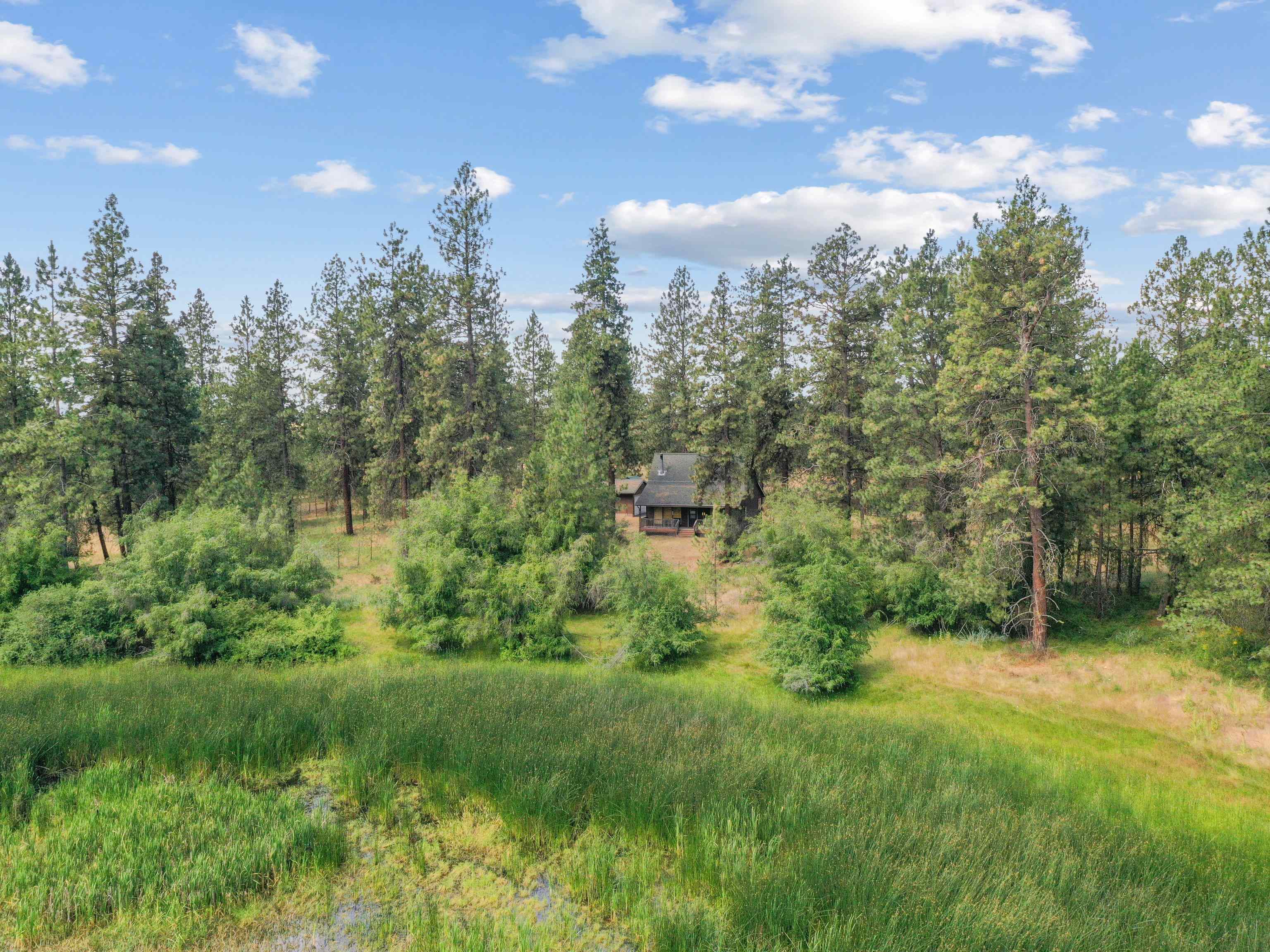 25207 South Rupp Road Cheney, WA 99004 - Photo 40 of 50