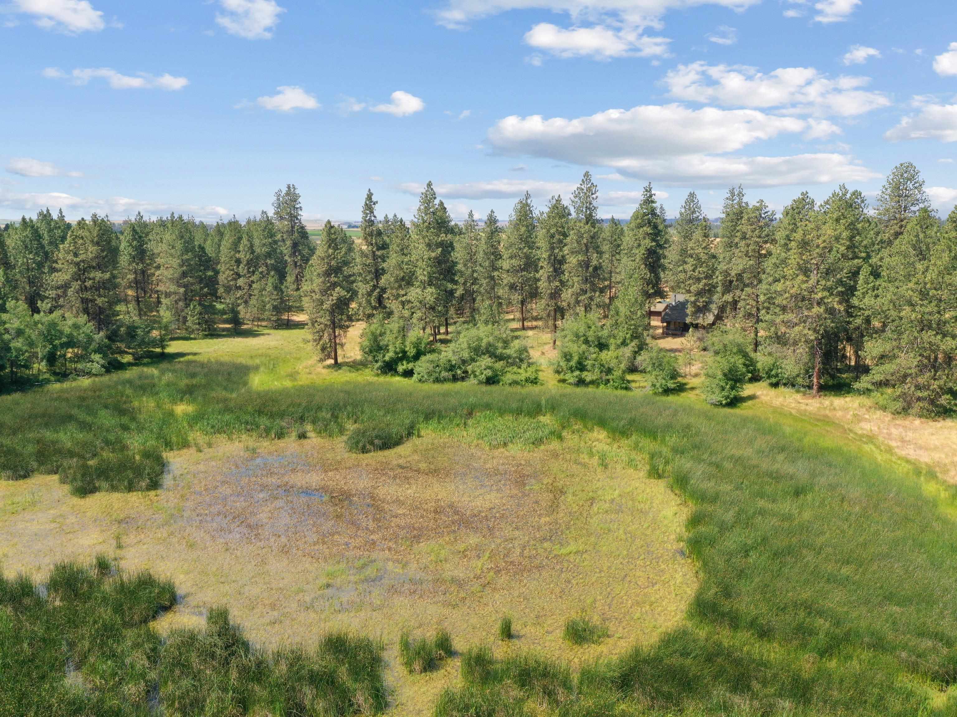 25207 South Rupp Road Cheney, WA 99004 - Photo 41 of 50