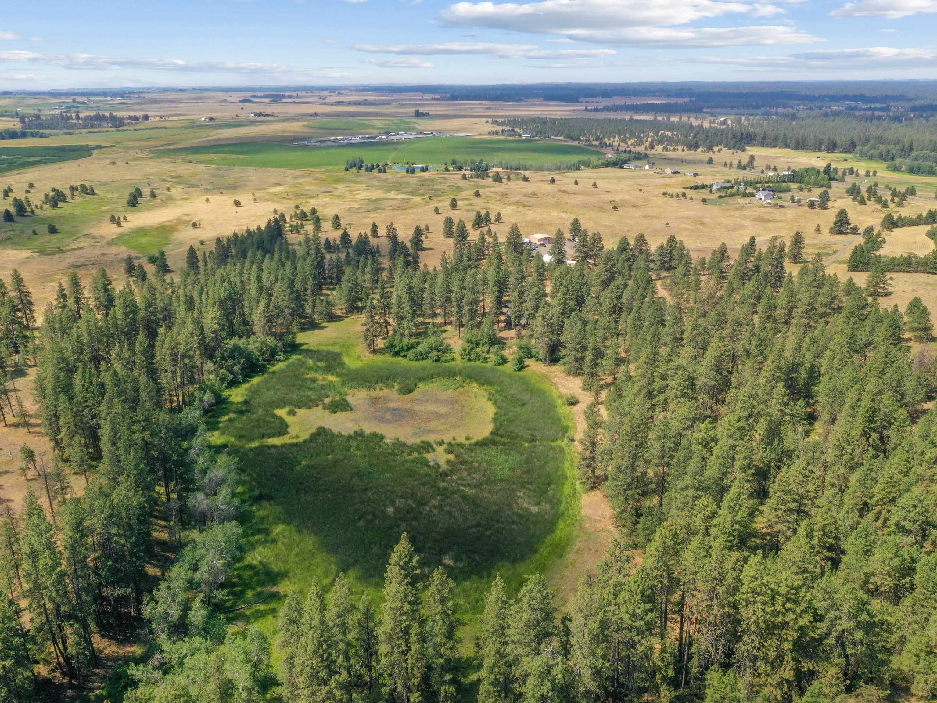 25207 South Rupp Road Cheney, WA 99004 - Photo 42 of 50