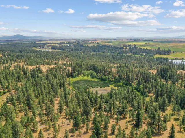 $825,000 | 25207 South Rupp Road, Cheney, WA 99004