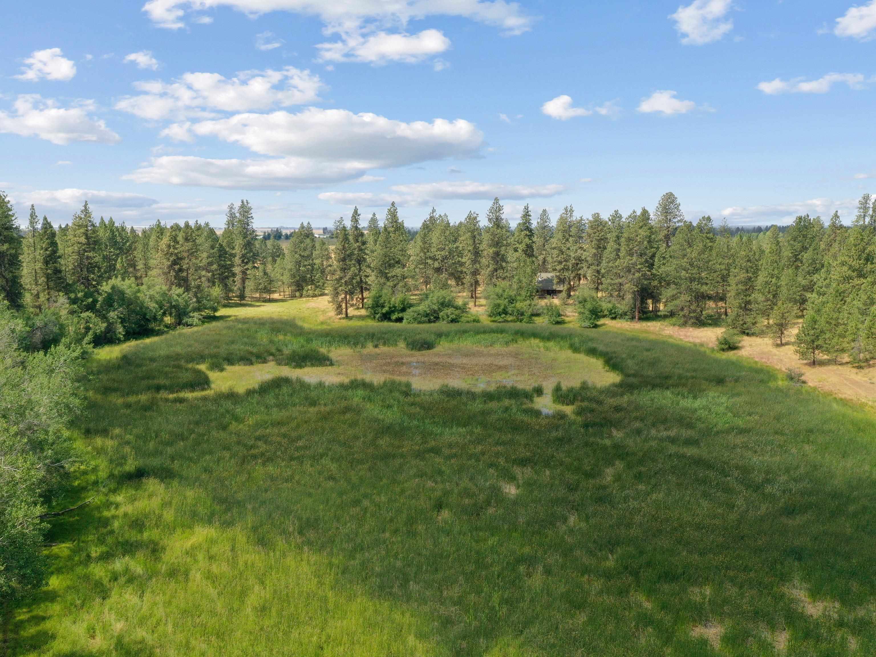 25207 South Rupp Road Cheney, WA 99004 - Photo 48 of 50