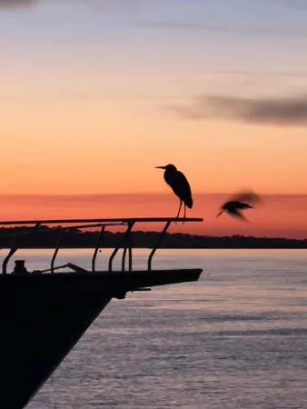 $600 | 67 West 10th Street, Unit E3, Folly Beach, SC 29439