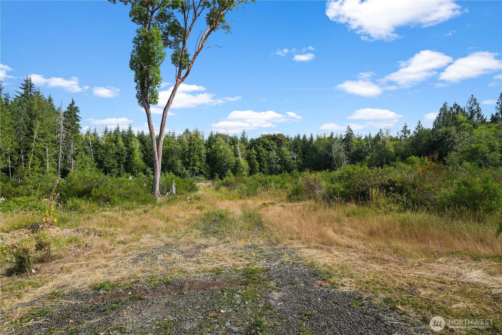 140 East Jared Road Shelton, WA 98584 - Photo 16 of 24