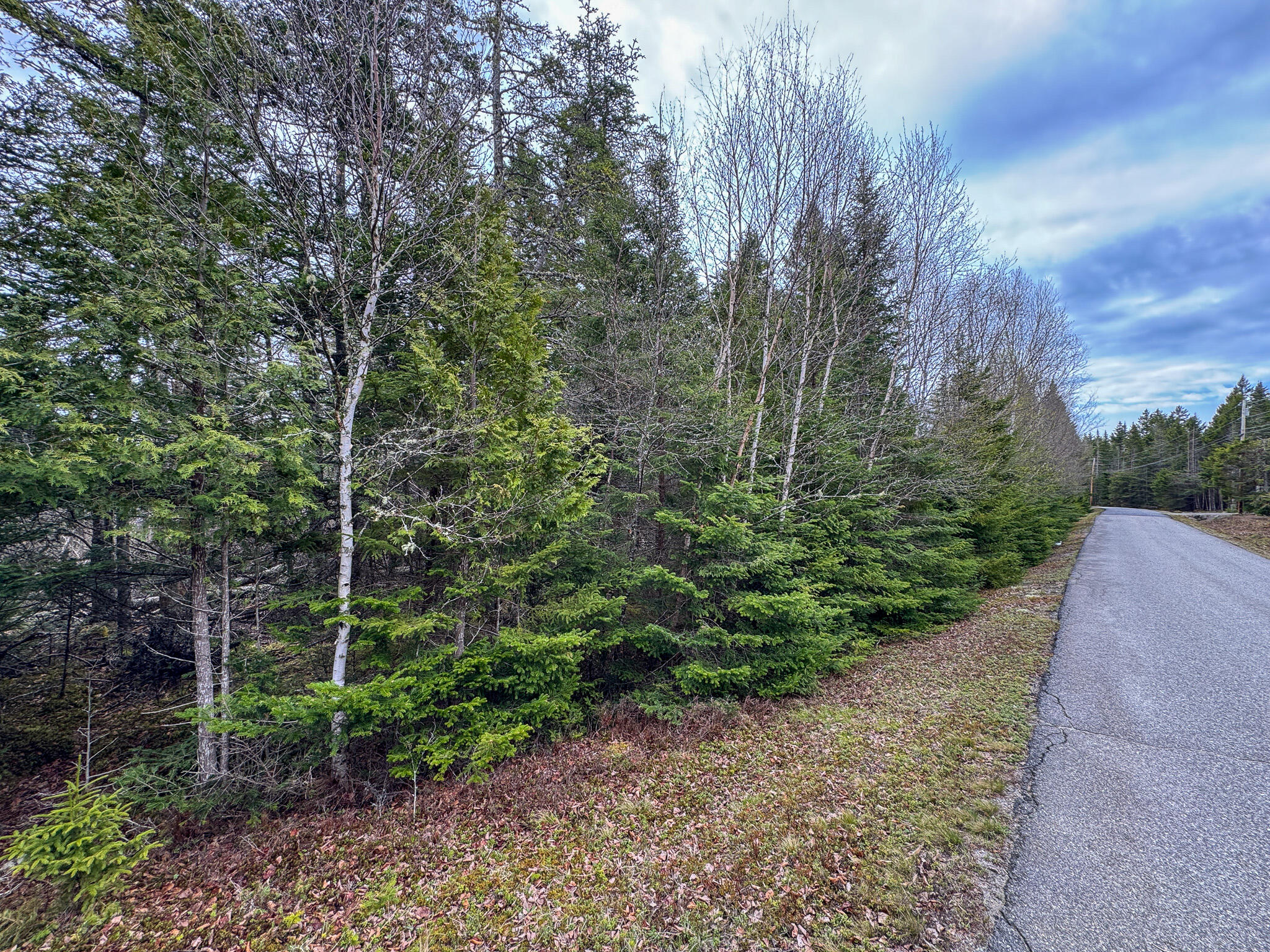 Lot 46 Yoho Head Road Machiasport, ME 04655 - Photo 12 of 22 IMG_4707