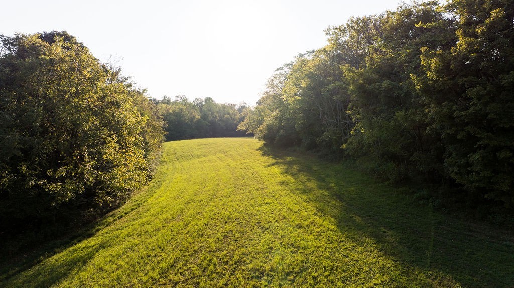 3685 Martin Ervin Road Santa Fe, TN 38482 - Photo 13 of 99