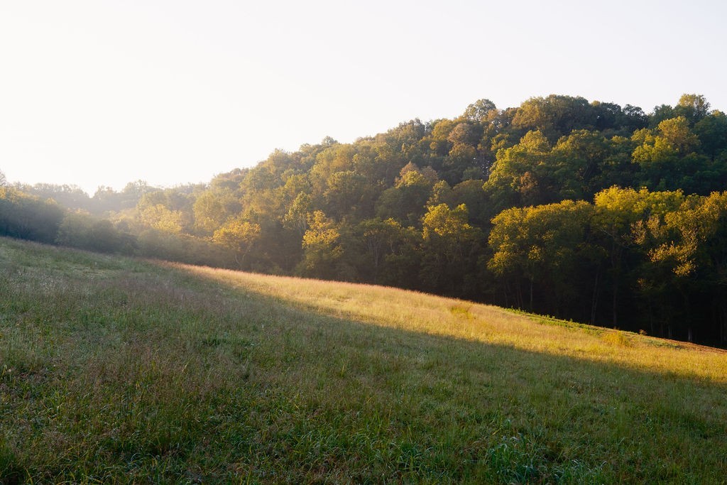 3685 Martin Ervin Road Santa Fe, TN 38482 - Photo 14 of 99