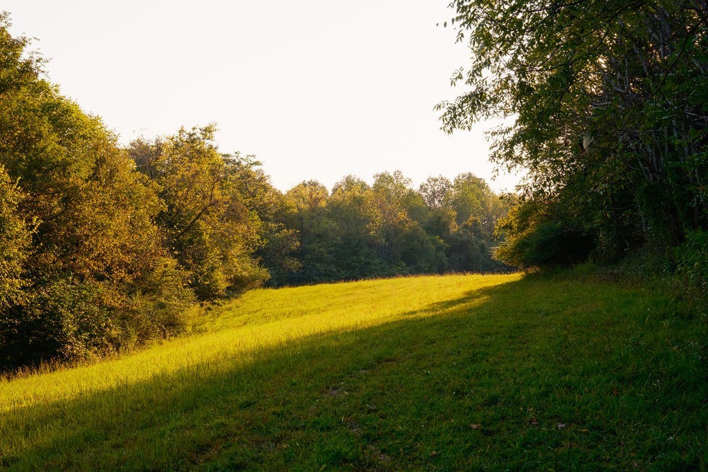 3685 Martin Ervin Road Santa Fe, TN 38482 - Photo 15 of 99