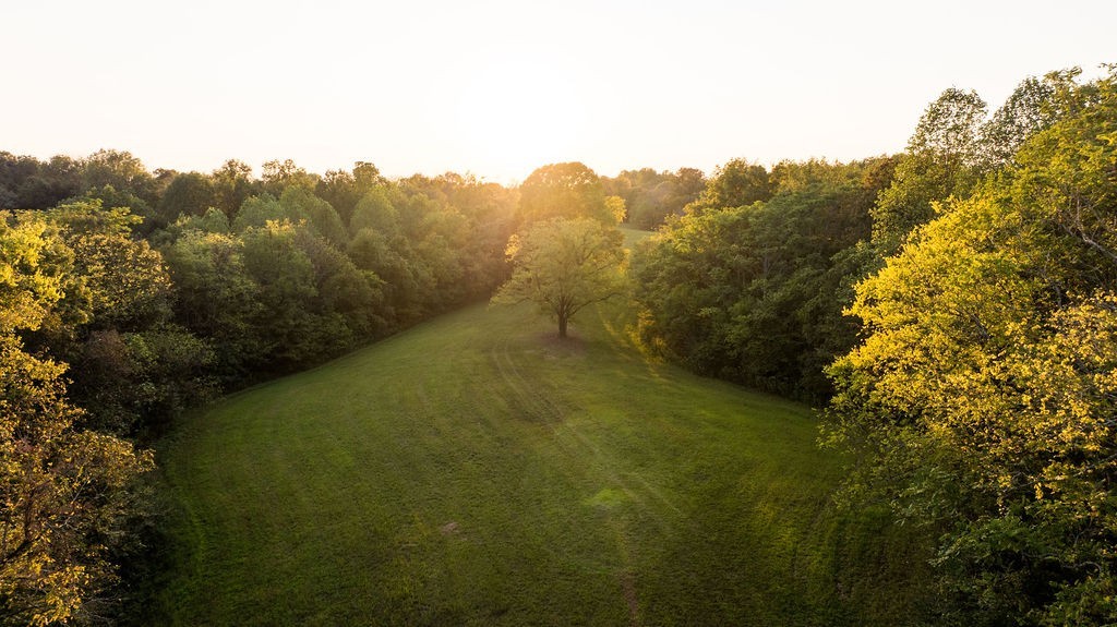 3685 Martin Ervin Road Santa Fe, TN 38482 - Photo 17 of 99