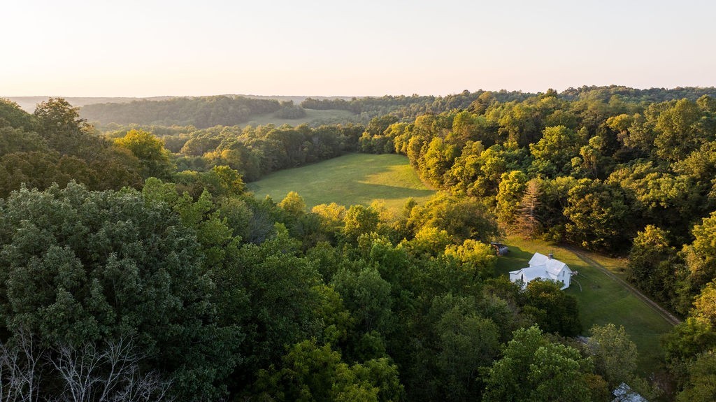 3685 Martin Ervin Road Santa Fe, TN 38482 - Photo 2 of 99