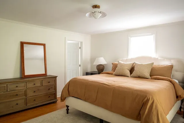 a view of a large garden with large trees and a small yard