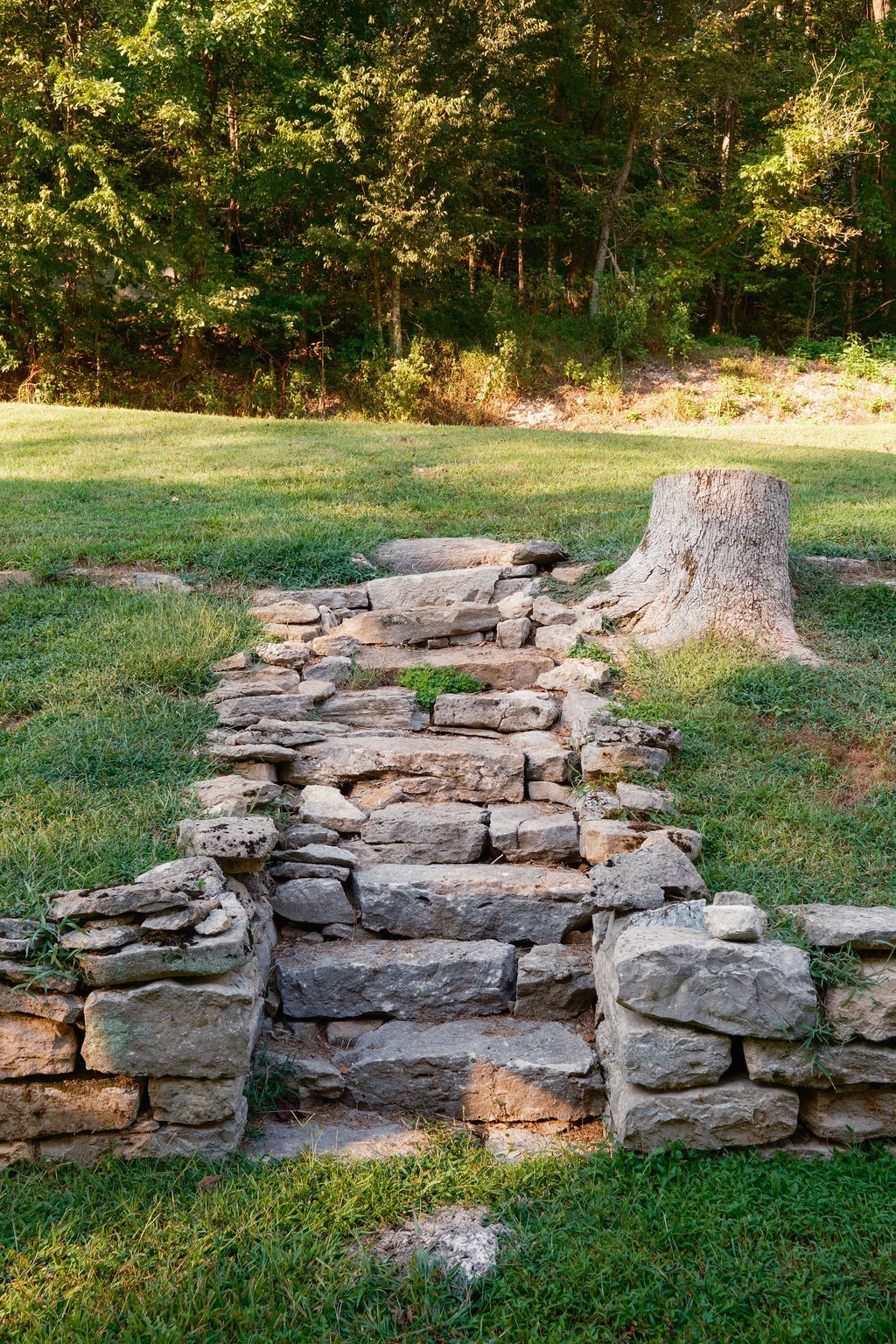 3685 Martin Ervin Road Santa Fe, TN 38482 - Photo 44 of 99