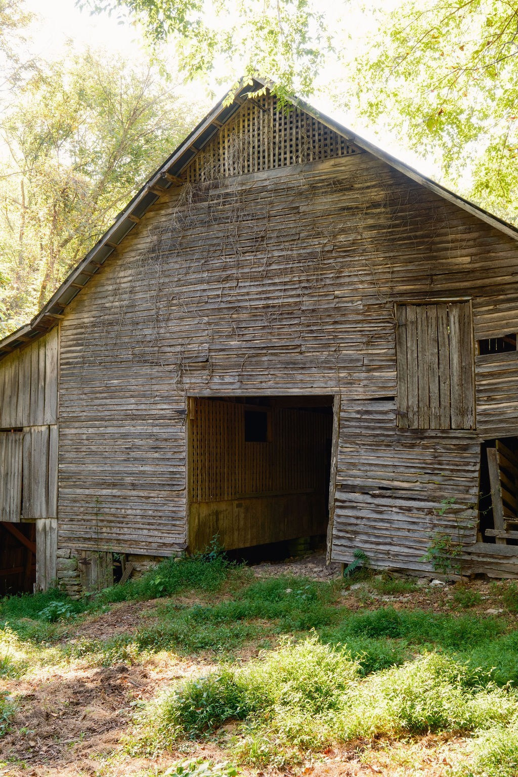 3685 Martin Ervin Road Santa Fe, TN 38482 - Photo 45 of 99 a front view of a house with a yard