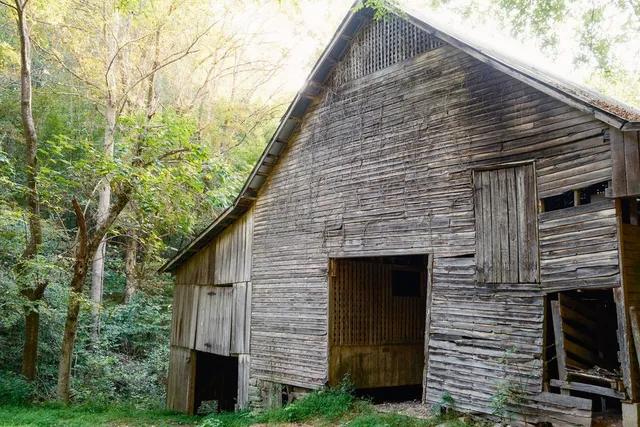 a view of a yard with wooden fence
