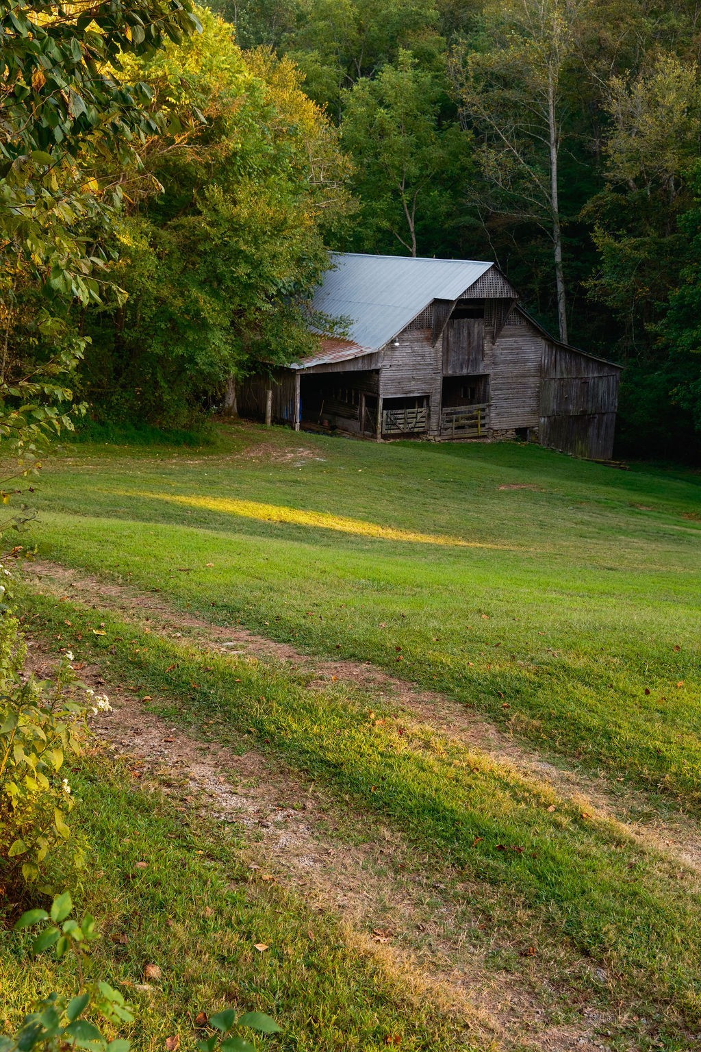 3685 Martin Ervin Road Santa Fe, TN 38482 - Photo 49 of 99 a view of a house with a yard